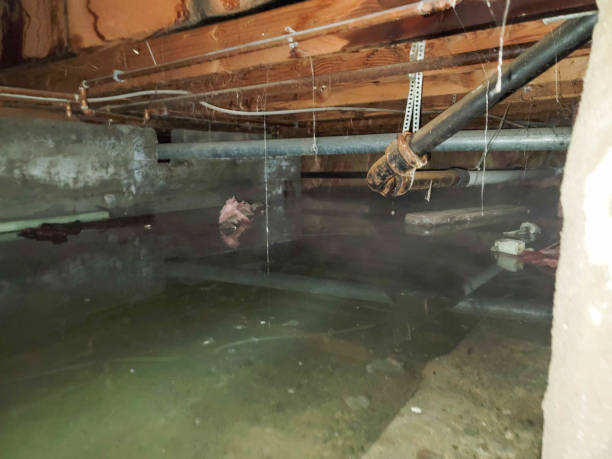 Best Residential water damage restoration  in USA