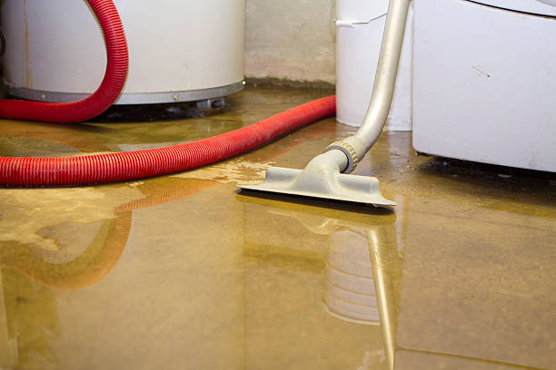 Best Commercial water damage restoration  in USA